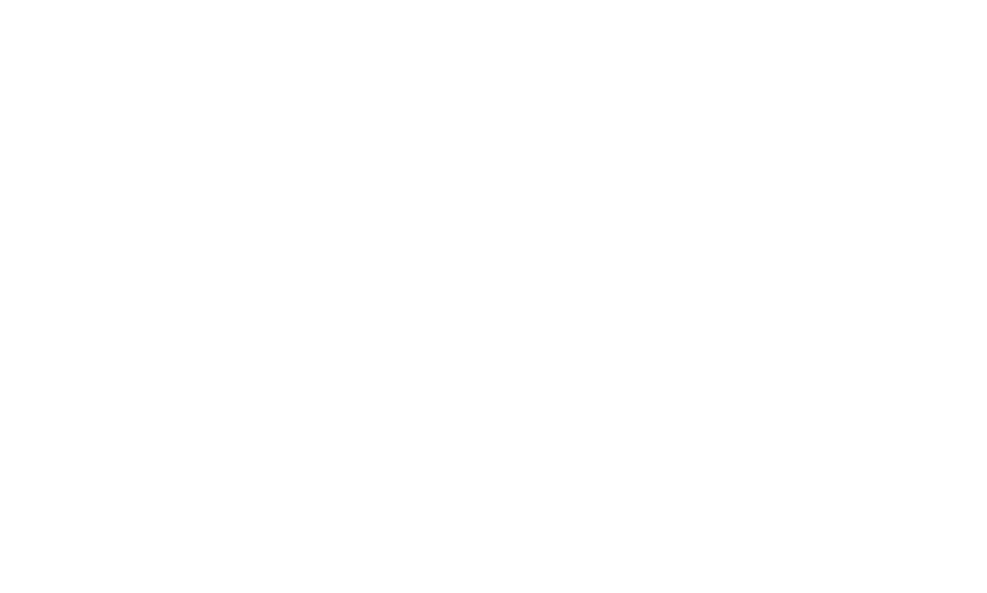 Sociometrics Logo